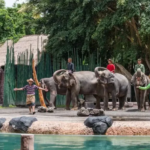 Bali zoo gianyar