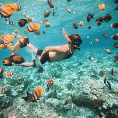 Snorkeling dengan ikan